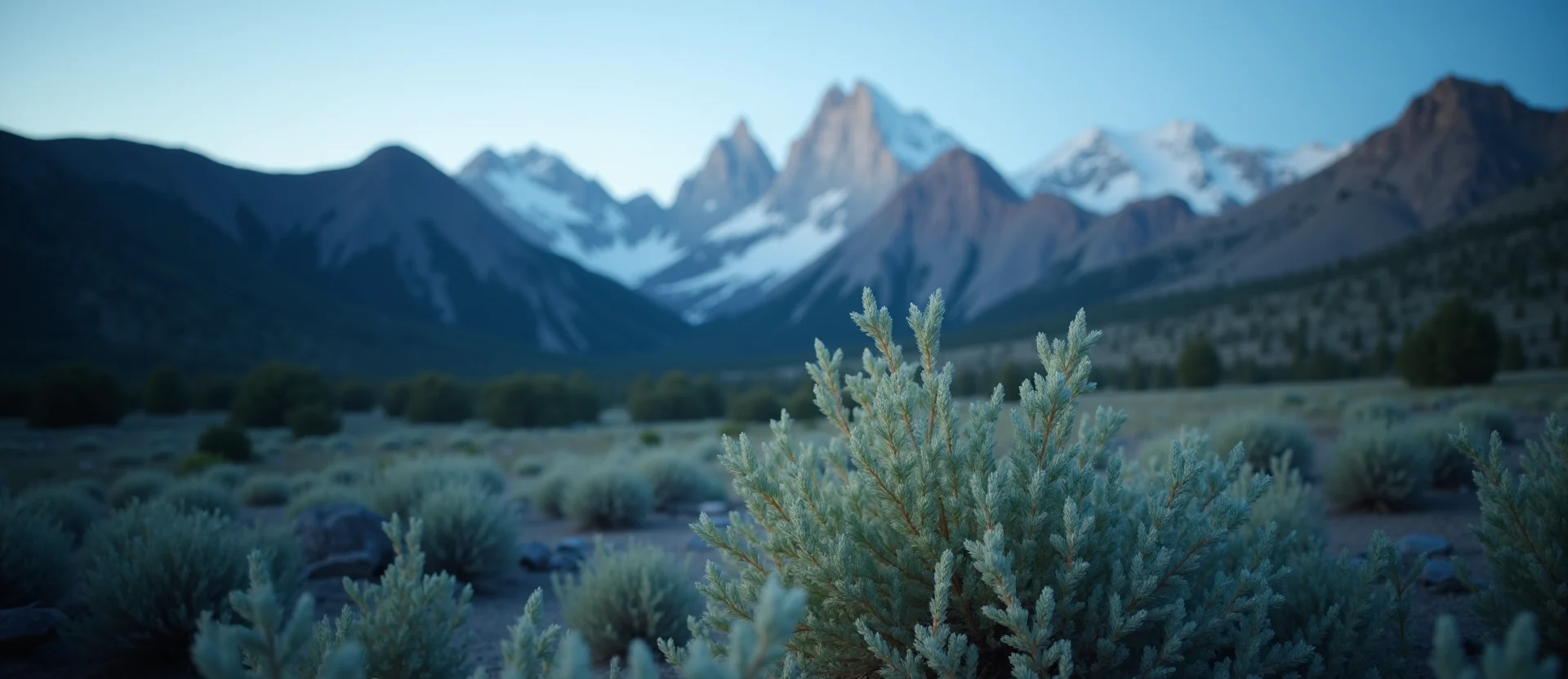 Symbolizing Stability/Peak: A local Rabbitbrush solid mountain ridge. - AI Generated