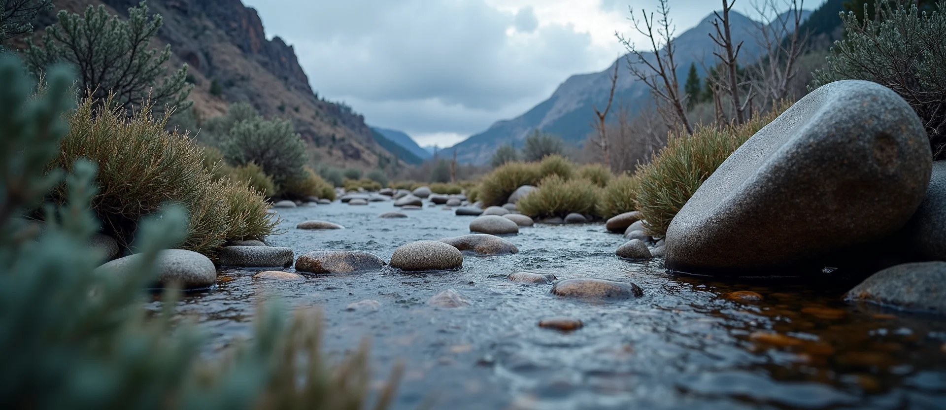 Symbolizing Flow/Cleansing: A local Rabbitbrush smooth Truckee river stones. - AI Generated