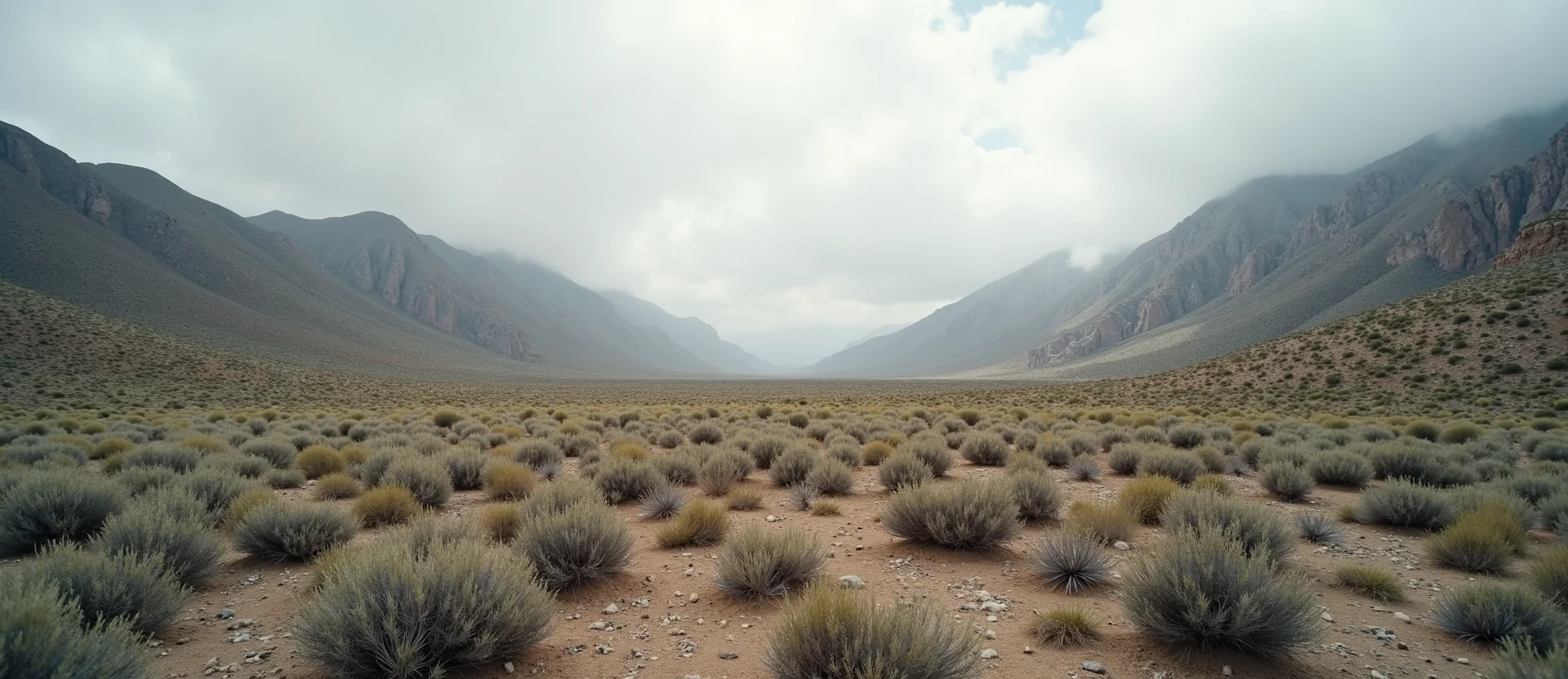 Symbolizing Identity/Local: A local Desert Peach High Desert vista. - AI Generated