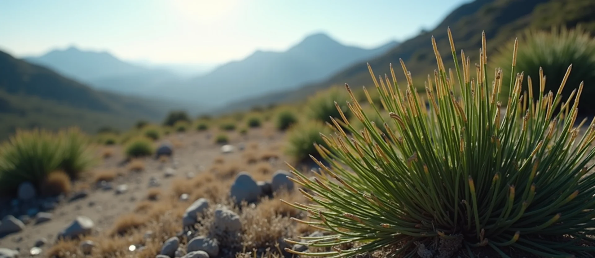 Symbolizing Flow/Cleansing: A local Bitterbrush raindrops on desert leaves. - AI Generated