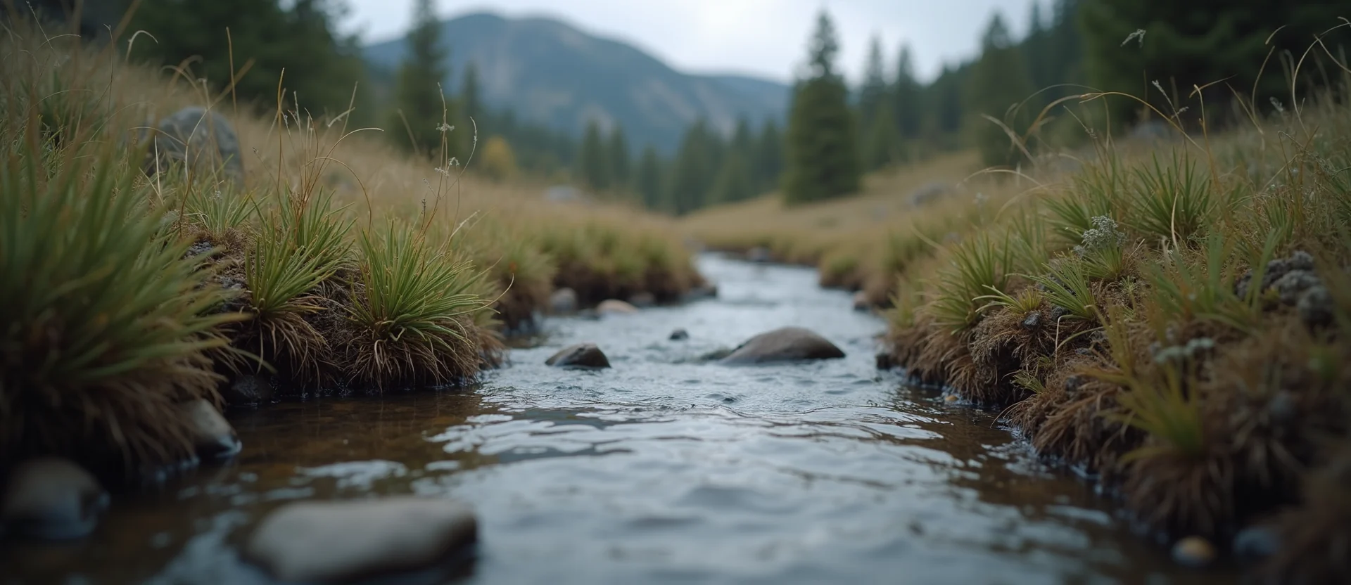 Symbolizing Flow/Cleansing: A local Desert Peach babbling mountain creek. - AI Generated