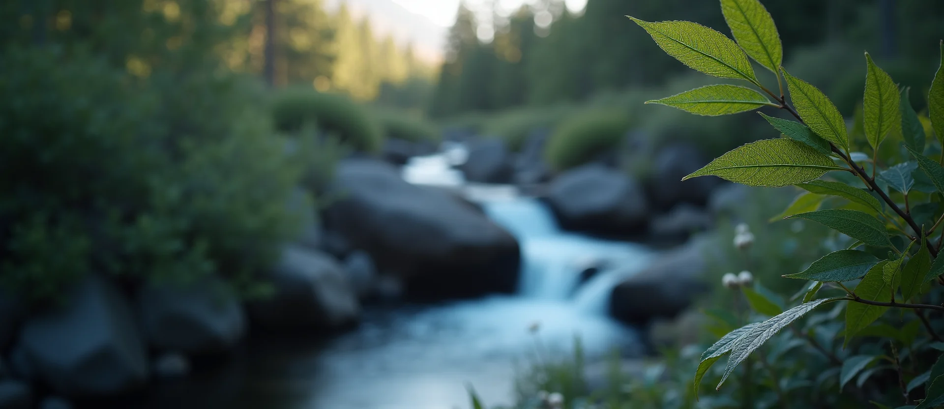 Symbolizing Flow/Cleansing: A local Quaking Aspen hidden small waterfall. - AI Generated