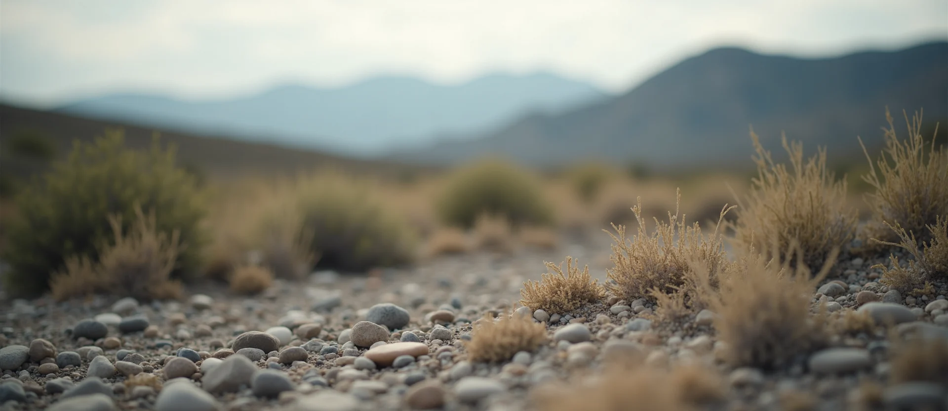 Symbolizing Identity/Local: A local Desert Peach Peavine Mountain silhouette. - AI Generated