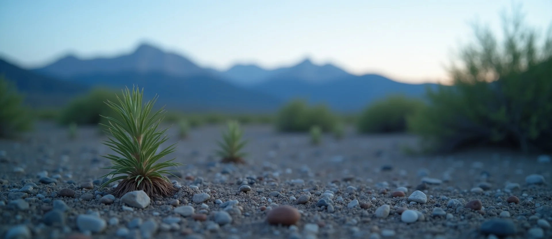 Symbolizing Seed/New Beginning: A local Mountain Mahogany sprouting sagebrush seedling. - AI Generated