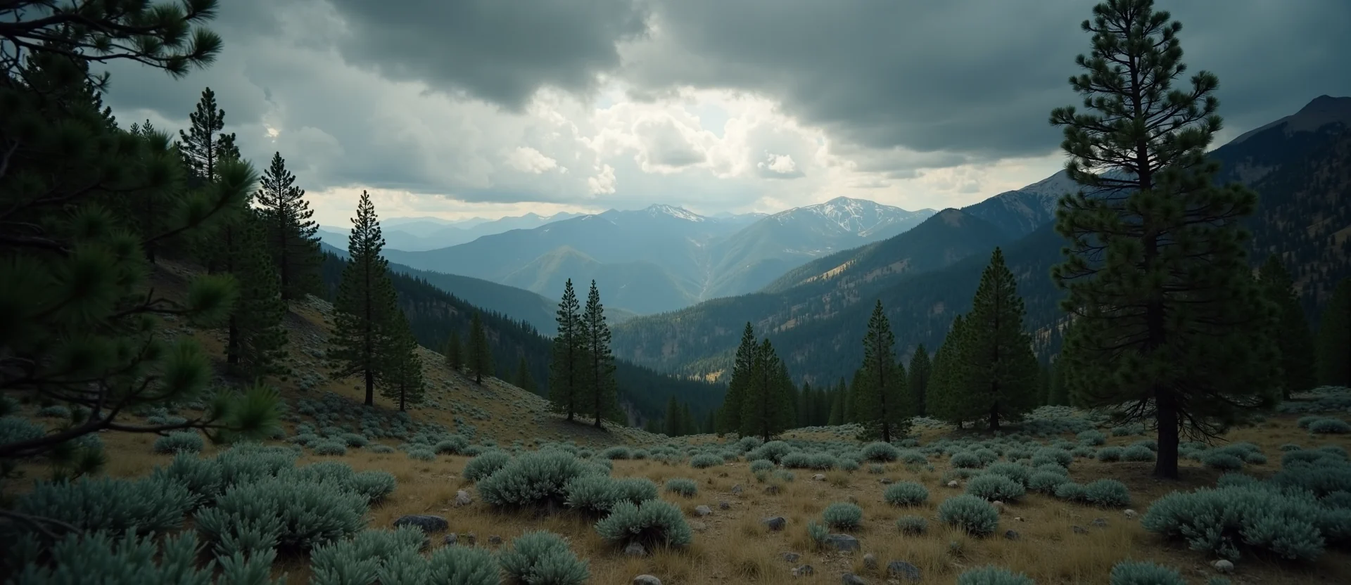 Symbolizing Identity/Local: A local Ponderosa Pine Mt. Rose foothills. - AI Generated