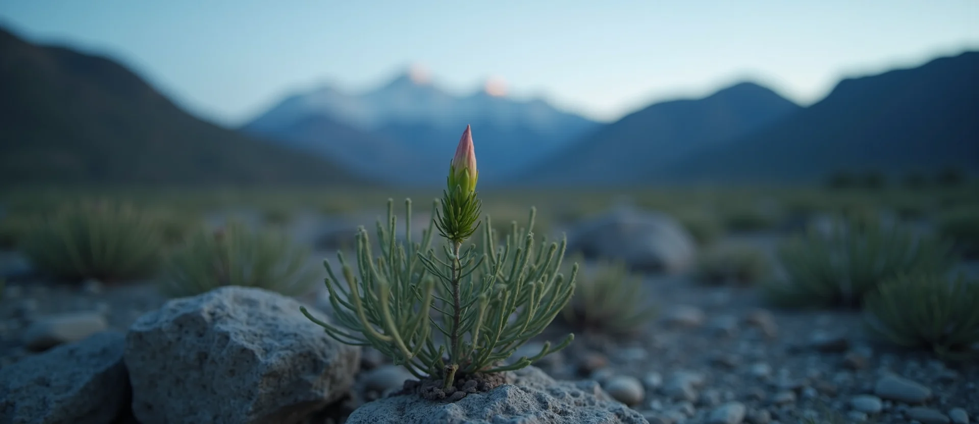 Symbolizing Seed/New Beginning: A local Rabbitbrush new green bud on a branch. - AI Generated