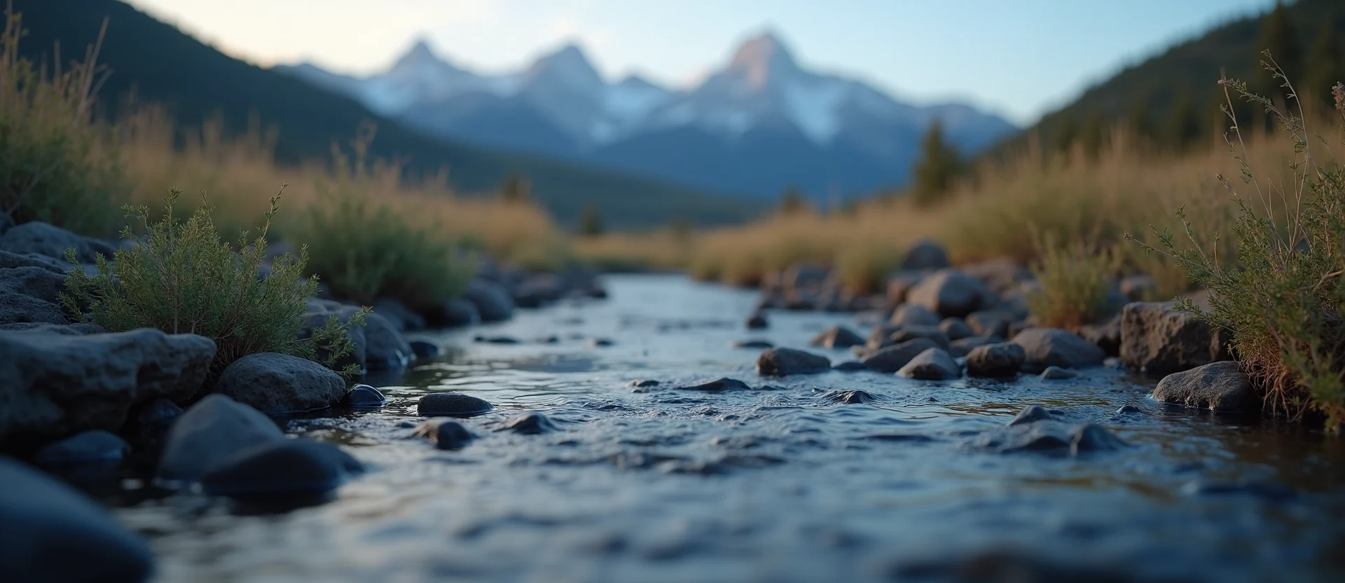 Symbolizing Flow/Cleansing: A local Sagebrush (Artemisia tridentata) clear cold snowmelt stream. - AI Generated
