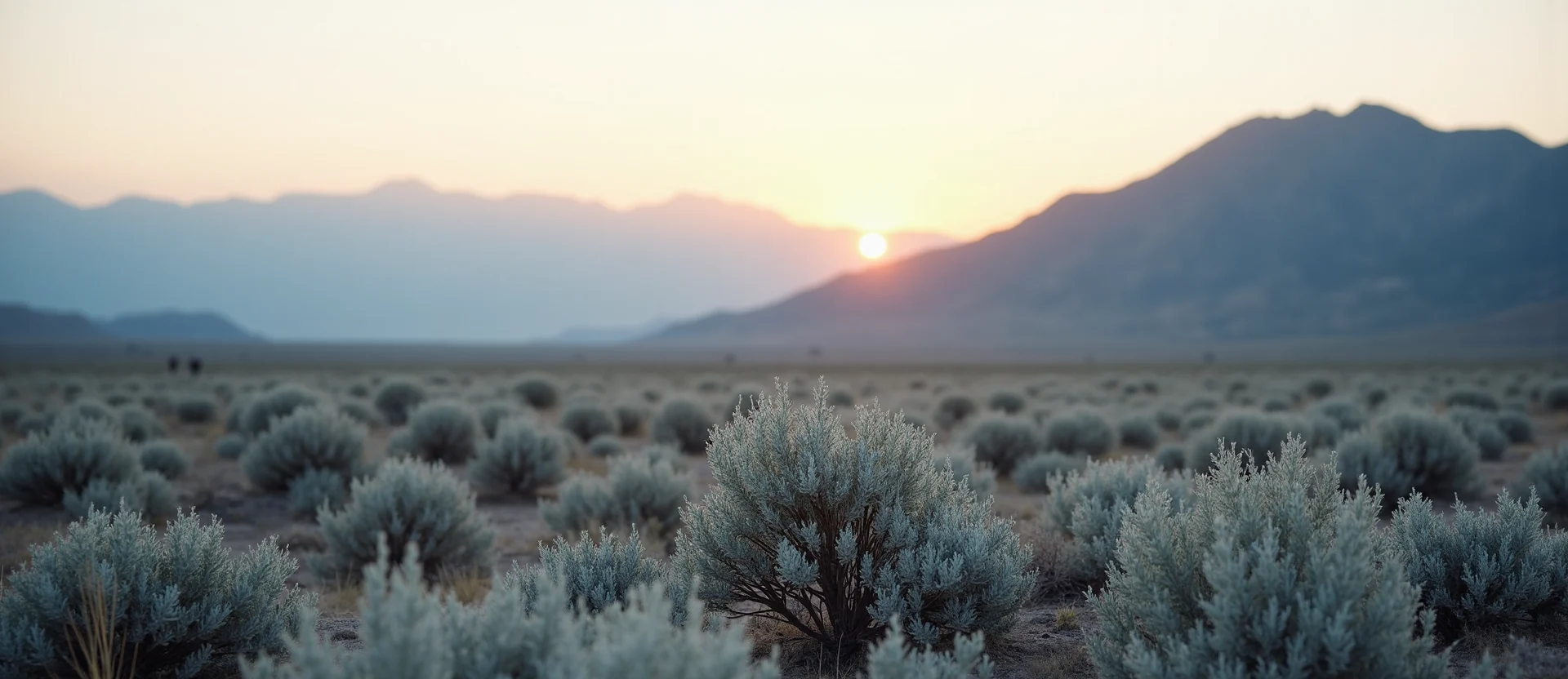 Symbolizing Identity/Local: A local Rabbitbrush Peavine Mountain silhouette. - AI Generated