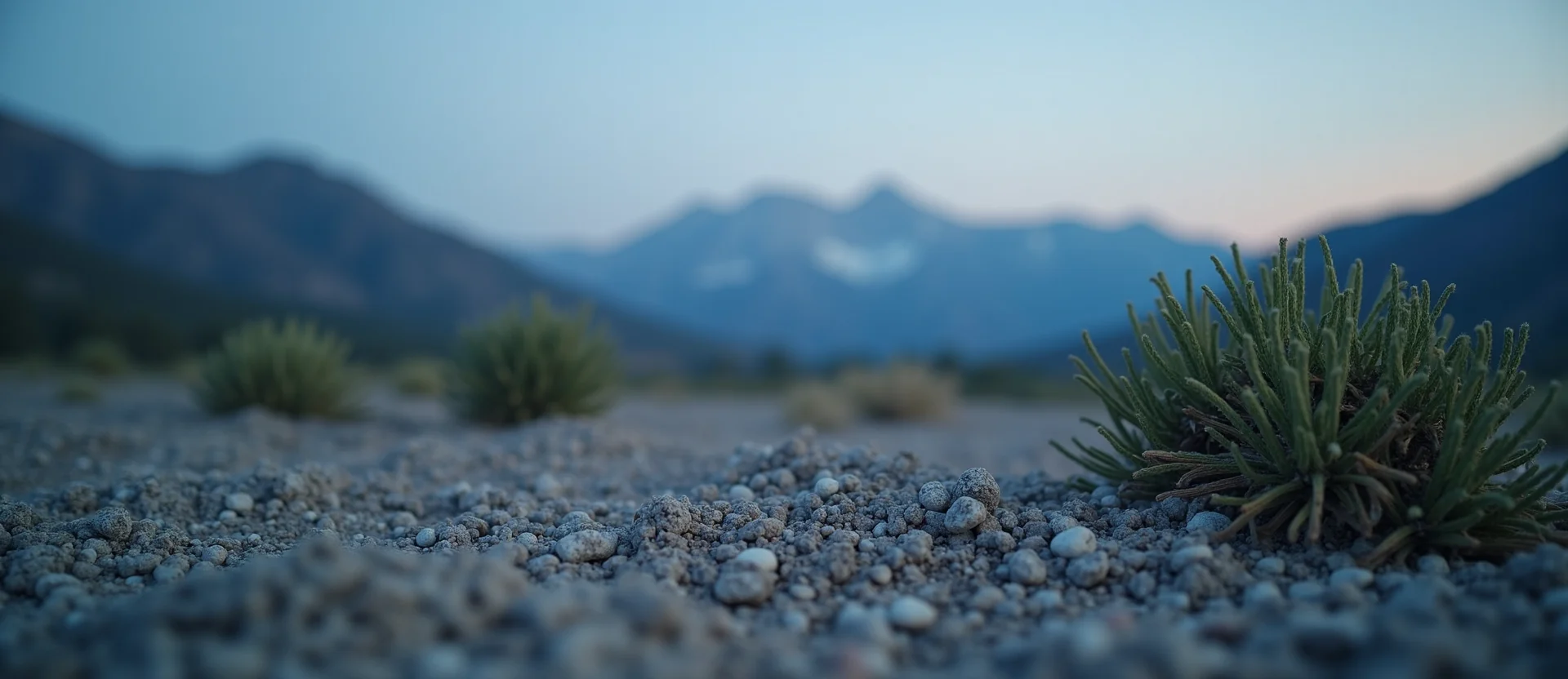 Symbolizing Identity/Local: A local Sierra Juniper Sierra Nevada skyline. - AI Generated