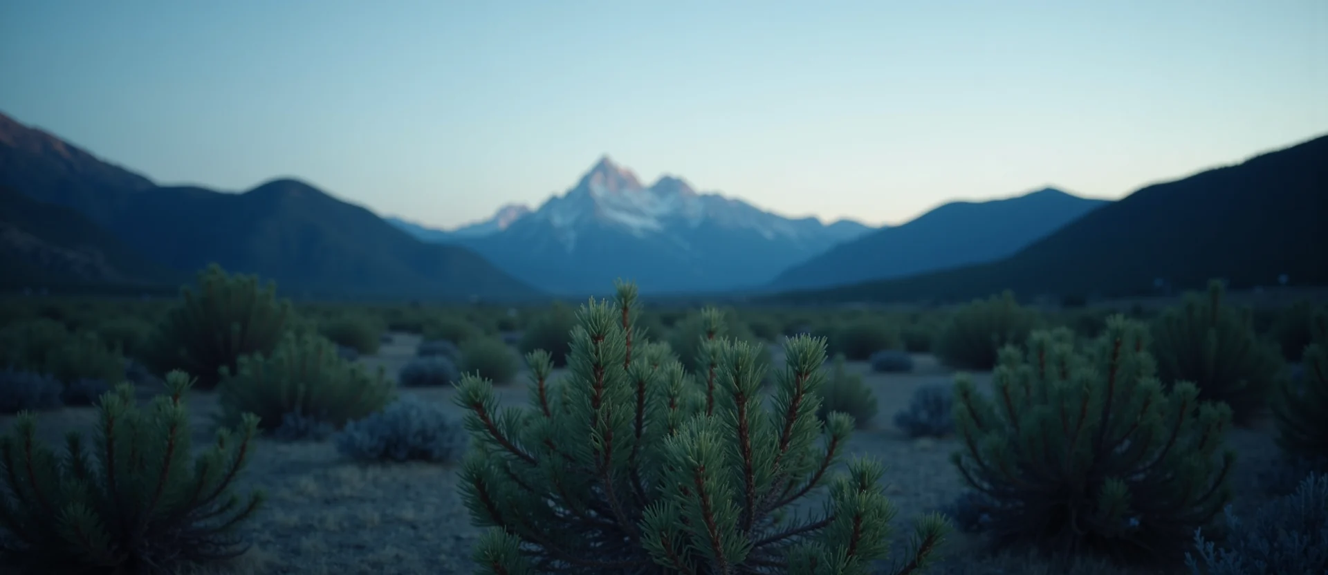 Symbolizing Stability/Peak: A local Sagebrush (Artemisia tridentata) distant Sierra horizon. - AI Generated