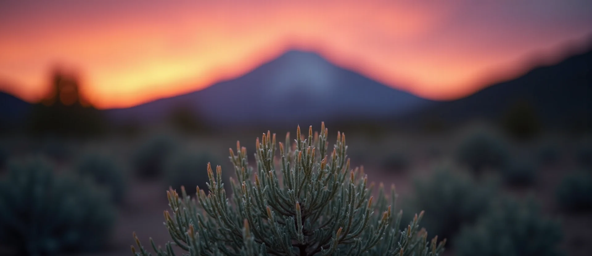 Symbolizing Flow/Cleansing: A local Sagebrush (Artemisia tridentata) raindrops on desert leaves. - AI Generated