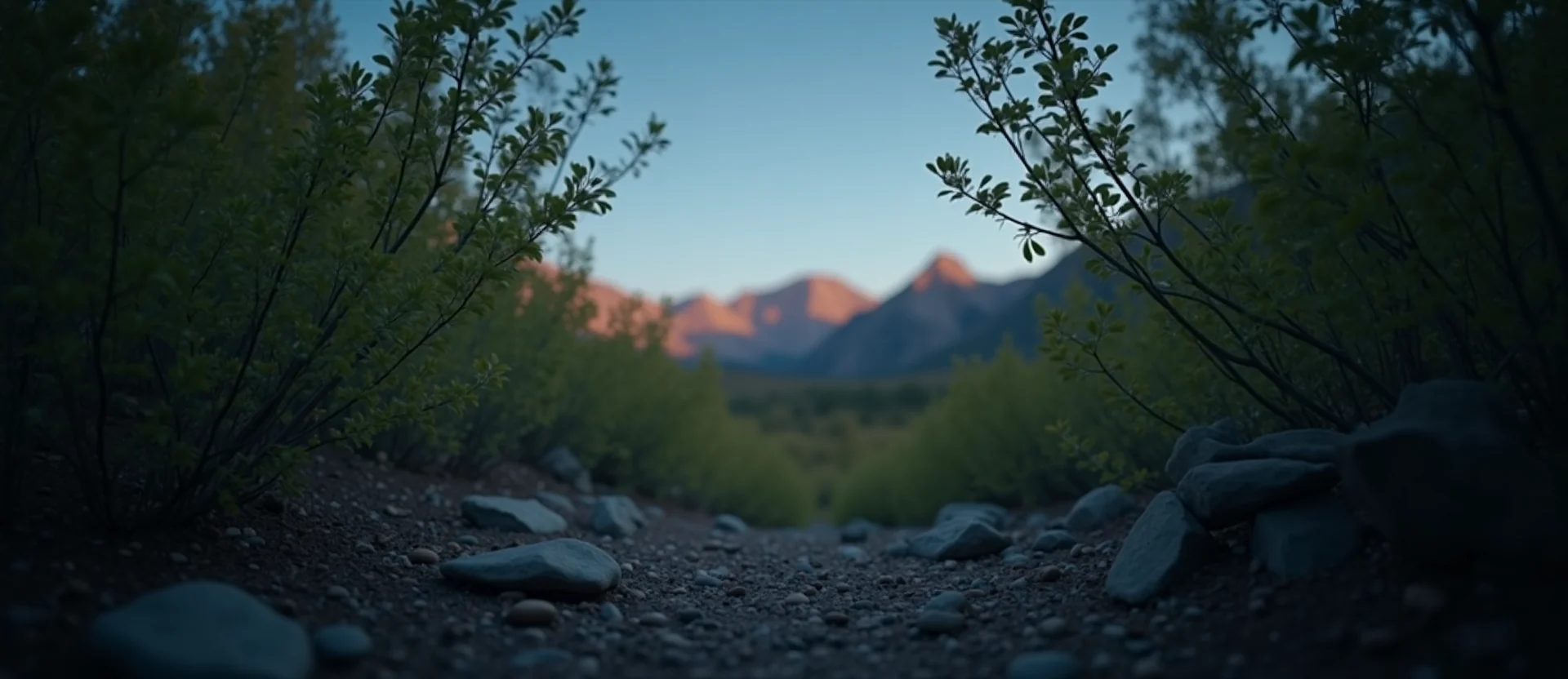 Symbolizing Identity/Local: A local Manzanita High Desert vista. - AI Generated
