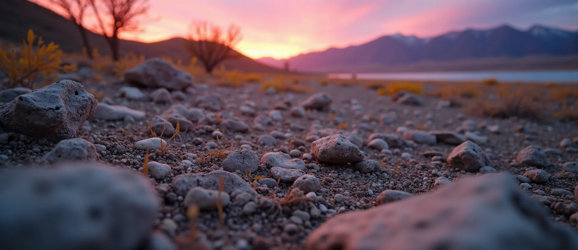 Symbolizing Identity/Local: A local Desert Peach Washoe Valley floor. - AI Generated