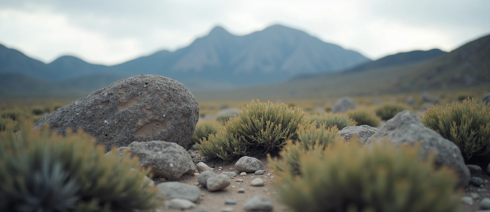 Symbolizing Identity/Local: A local Rabbitbrush Peavine Mountain silhouette. - AI Generated