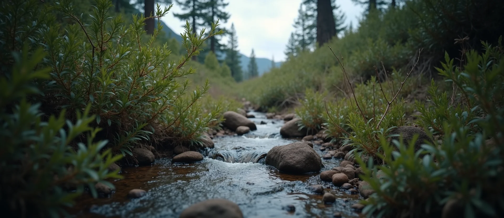 Symbolizing Flow/Cleansing: A local Manzanita hidden small waterfall. - AI Generated