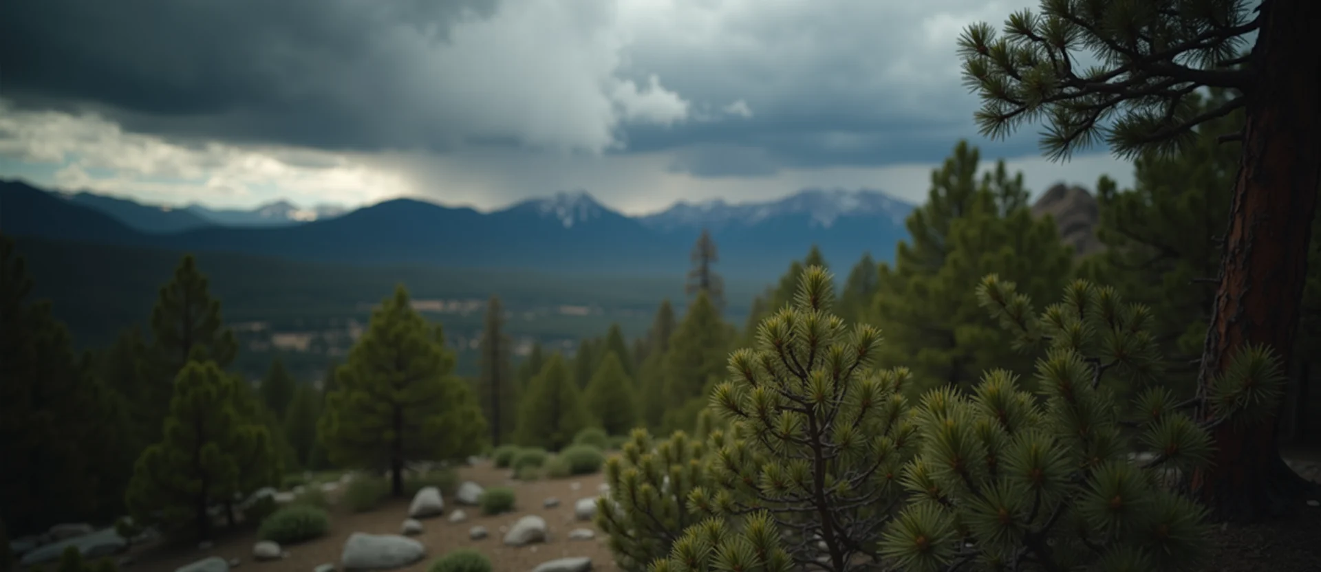 Symbolizing Identity/Local: A local Ponderosa Pine Sierra Nevada skyline. - AI Generated