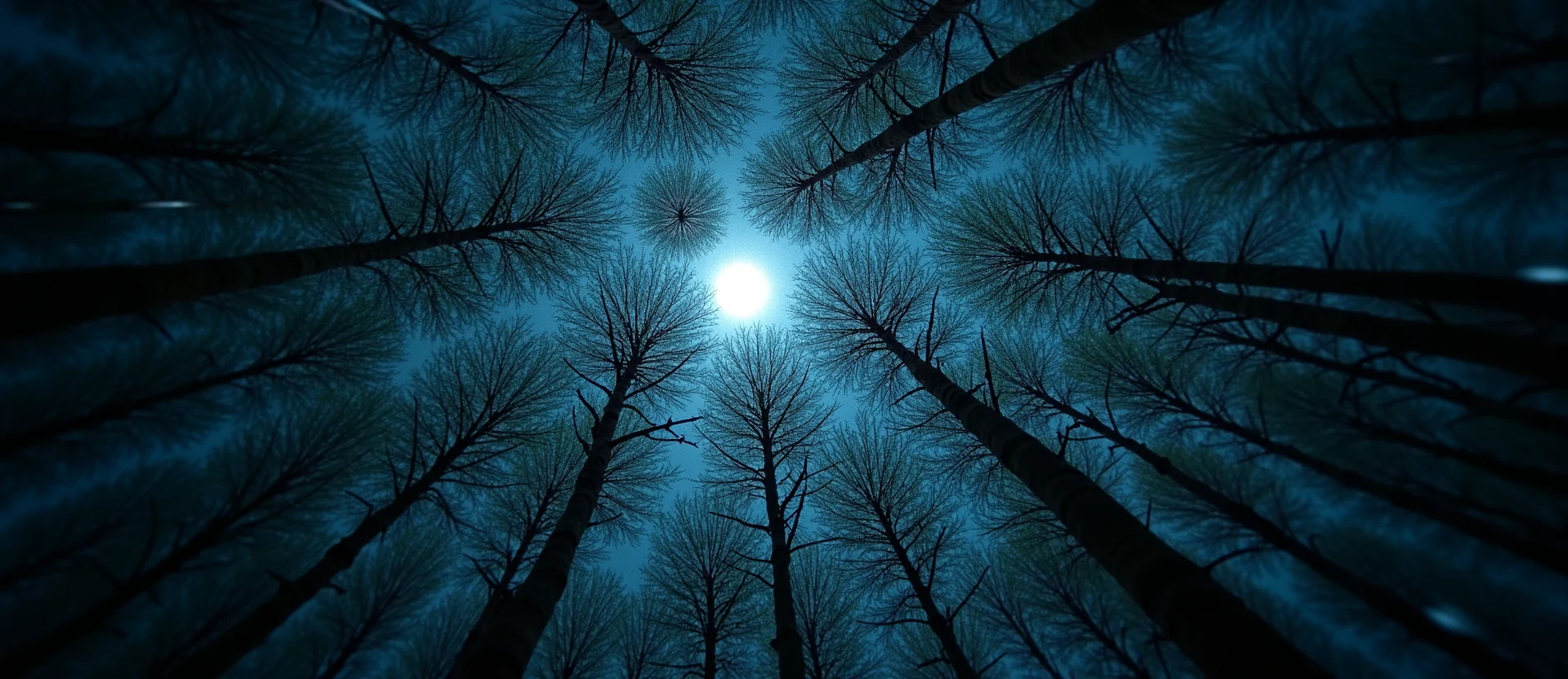 Symbolizing Growth/Resilience: A local Quaking Aspen thriving aspen grove. - AI Generated
