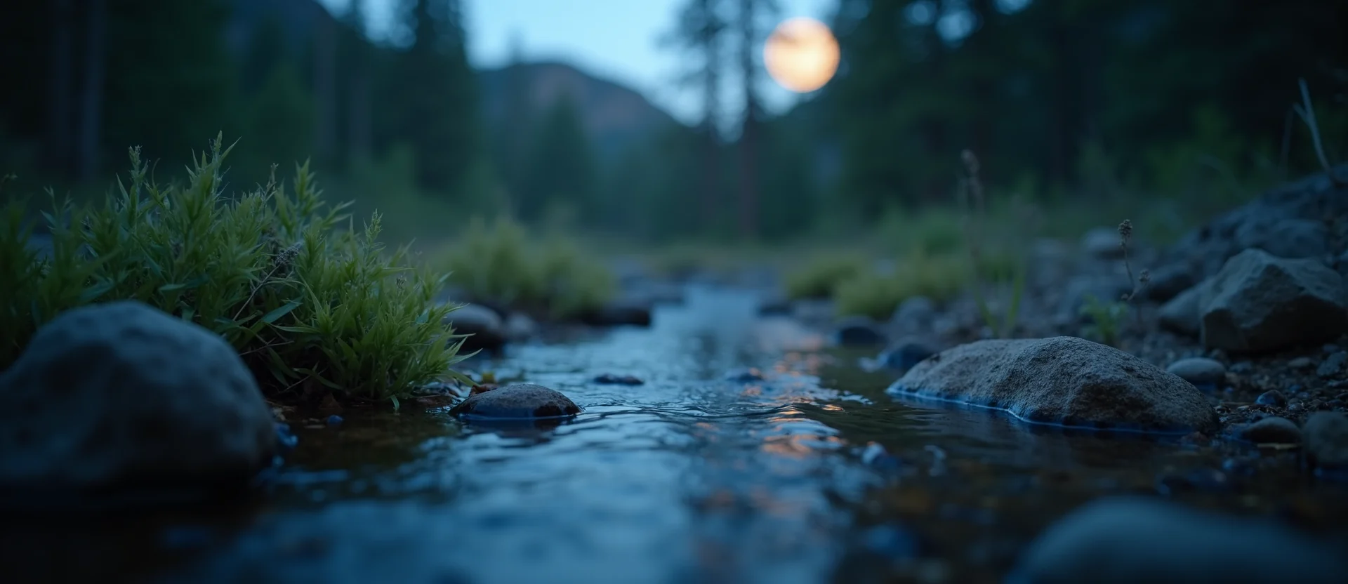Symbolizing Flow/Cleansing: A local Manzanita clear cold snowmelt stream. - AI Generated