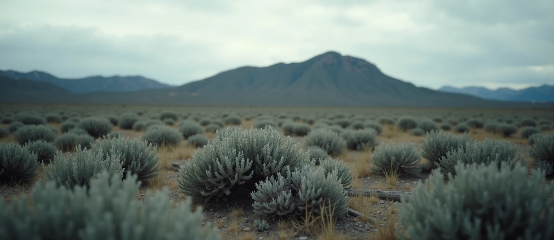 Symbolizing Identity/Local: A local Bitterbrush Peavine Mountain silhouette. - AI Generated
