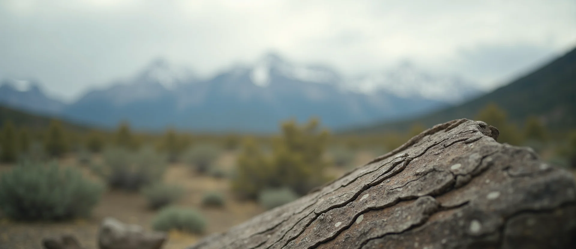 Symbolizing Identity/Local: A local Desert Peach Sierra Nevada skyline. - AI Generated