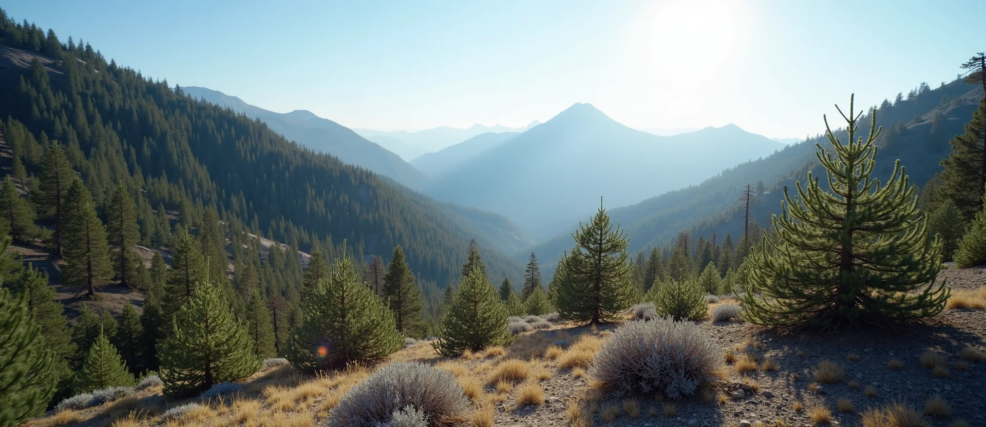 Symbolizing Identity/Local: A local Manzanita High Desert vista. - AI Generated