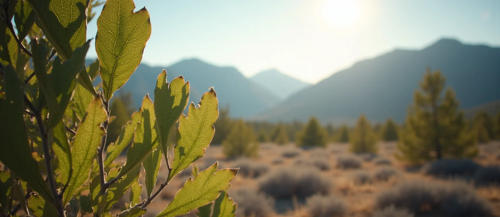 Symbolizing Stability/Peak: A local Mountain Mahogany distant Sierra horizon. - AI Generated