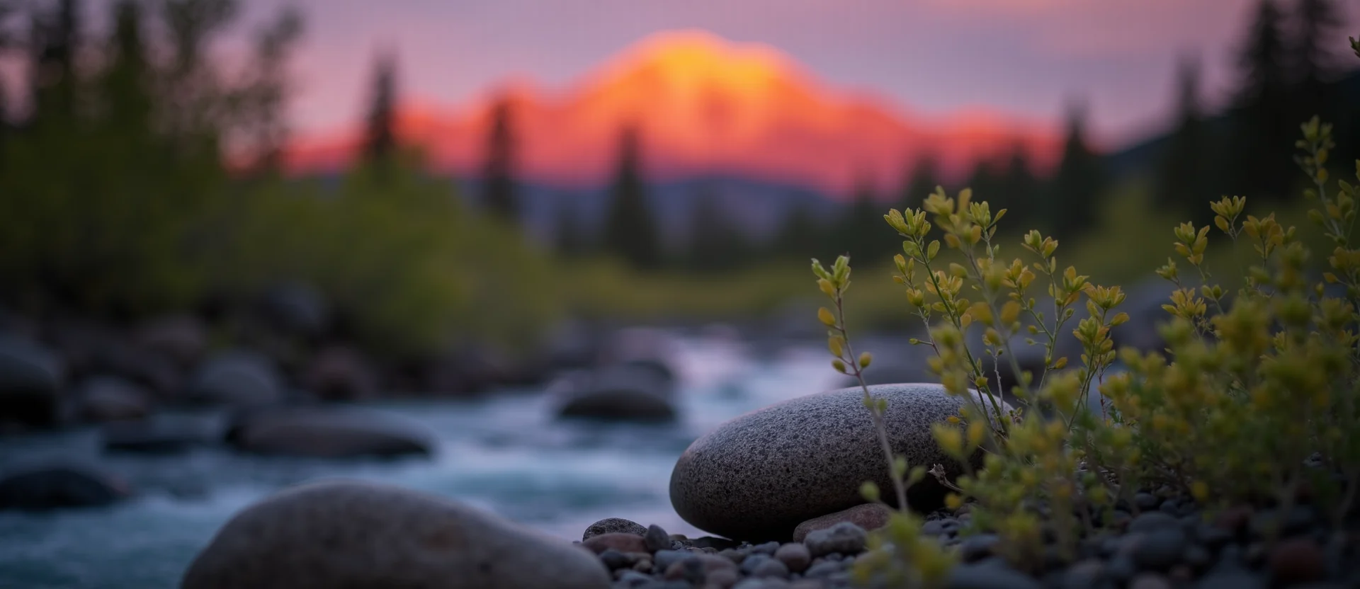 Symbolizing Flow/Cleansing: A local Sagebrush (Artemisia tridentata) smooth Truckee river stones. - AI Generated