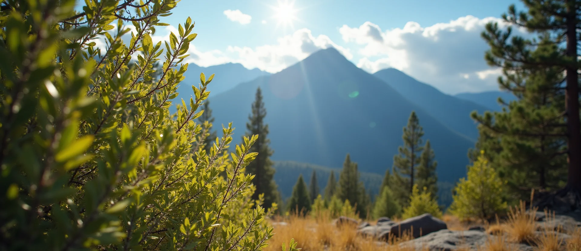 Symbolizing Identity/Local: A local Ponderosa Pine Sierra Nevada skyline. - AI Generated