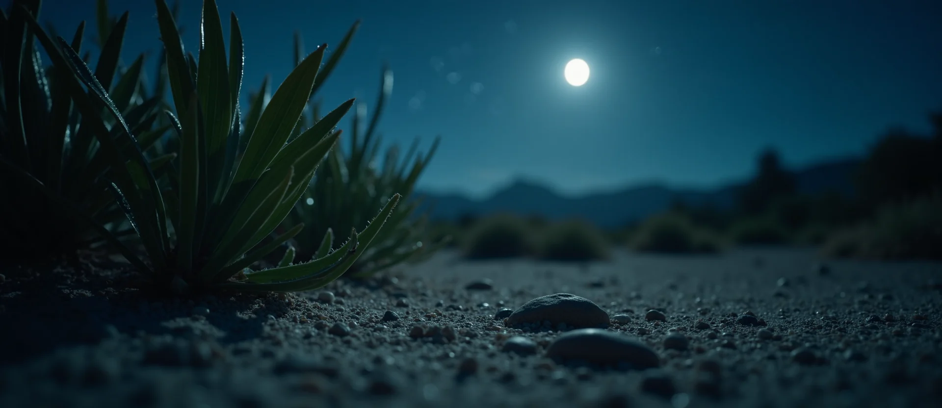 Symbolizing Flow/Cleansing: A local Mountain Mahogany raindrops on desert leaves. - AI Generated