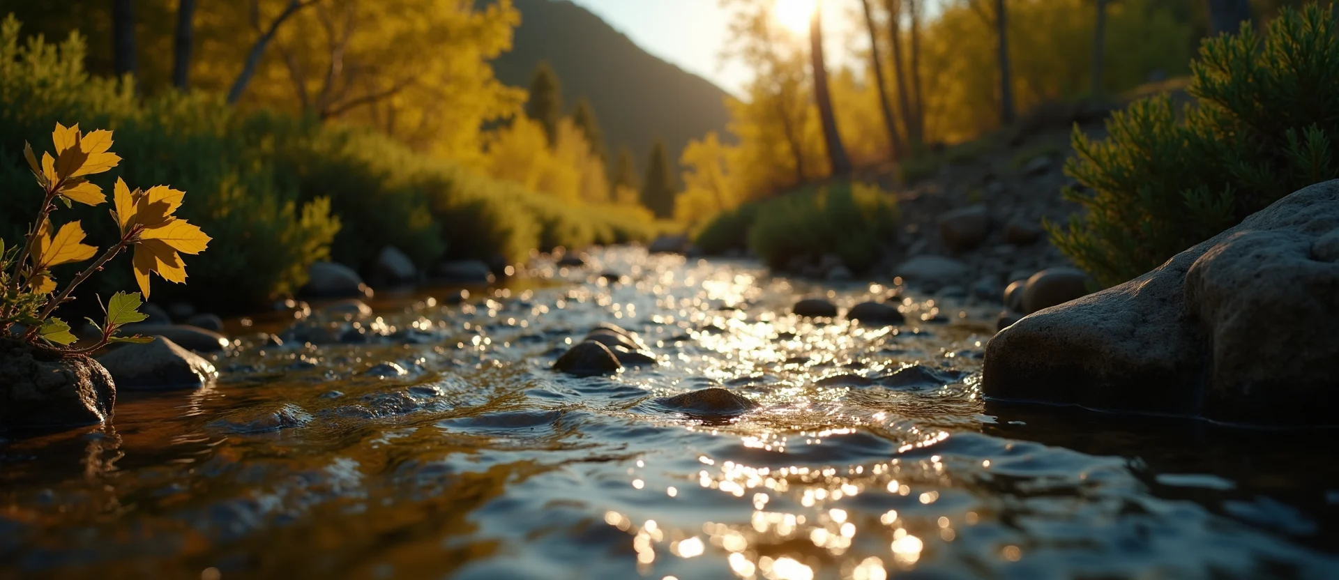 Symbolizing Flow/Cleansing: A local Manzanita babbling mountain creek. - AI Generated