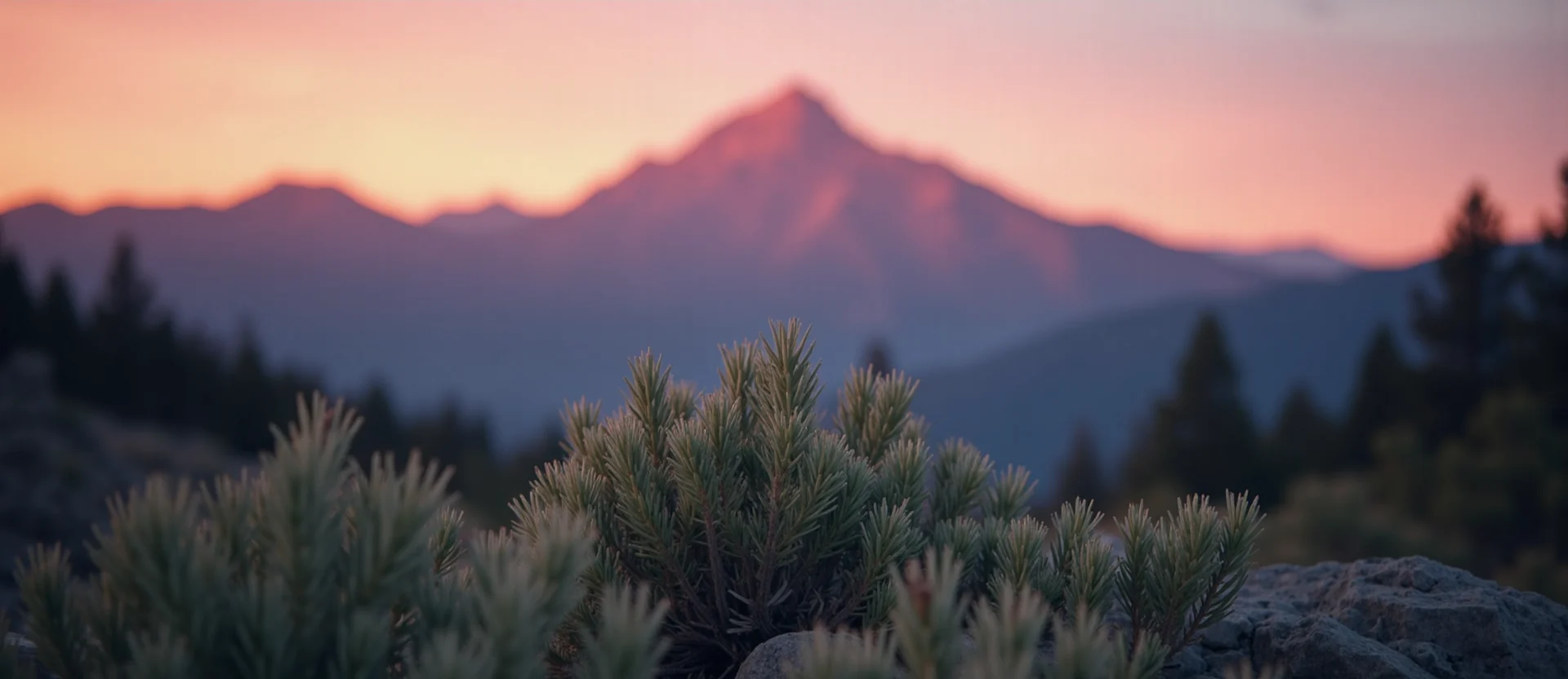 Symbolizing Stability/Peak: A local Desert Peach solid mountain ridge. - AI Generated