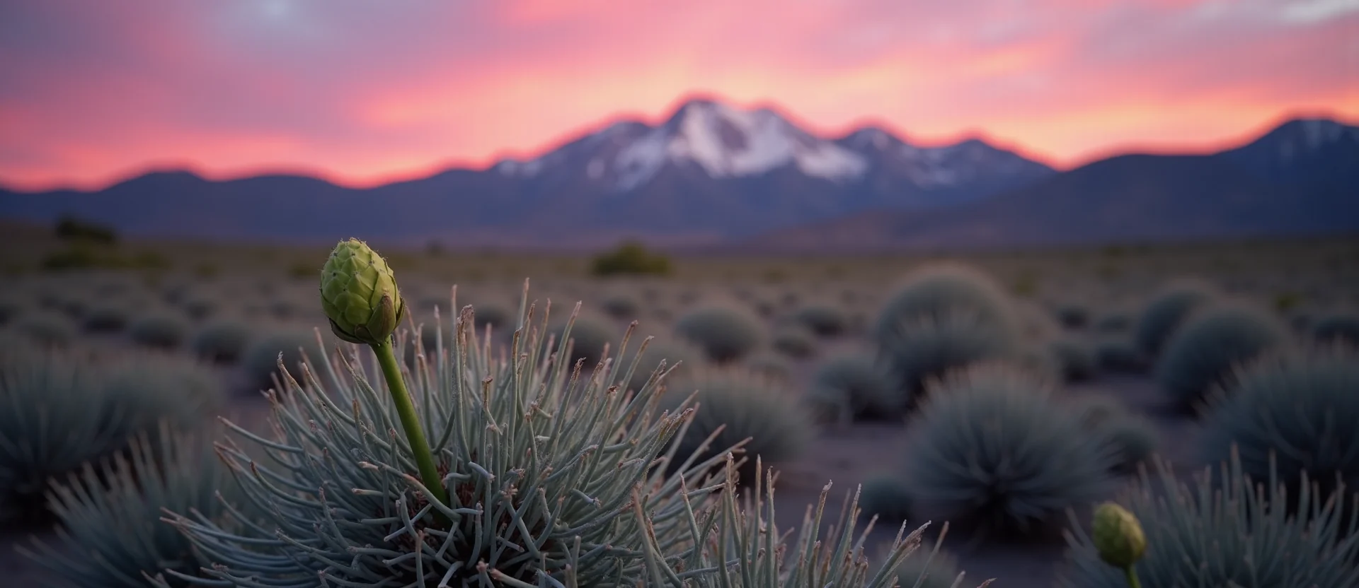 Symbolizing Seed/New Beginning: A local Indian Paintbrush new green bud on a branch. - AI Generated