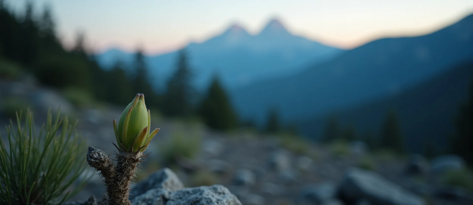 Symbolizing Seed/New Beginning: A local Ponderosa Pine new green bud on a branch. - AI Generated