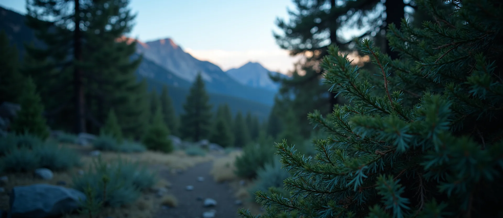 Symbolizing Identity/Local: A local Mountain Mahogany High Desert vista. - AI Generated