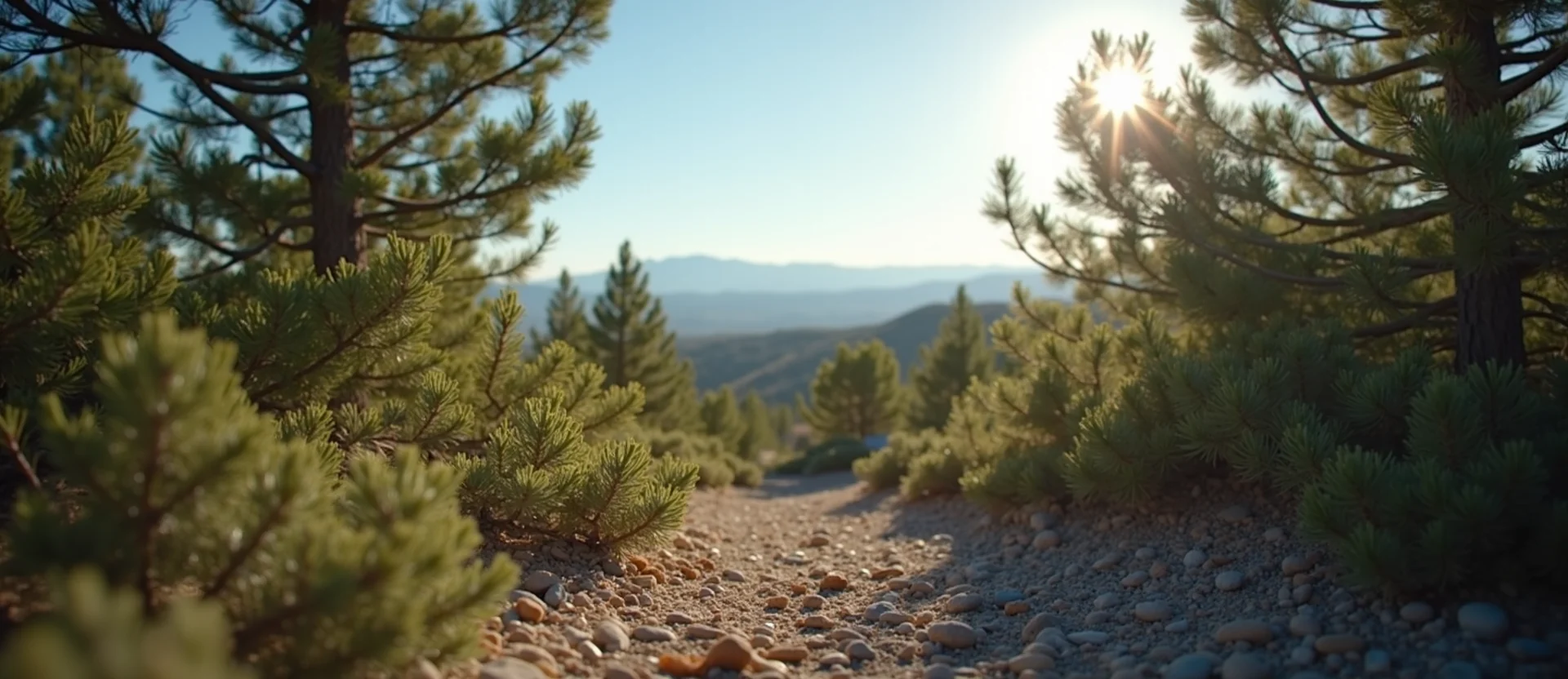 Symbolizing Stability/Peak: A local Desert Peach distant Sierra horizon. - AI Generated