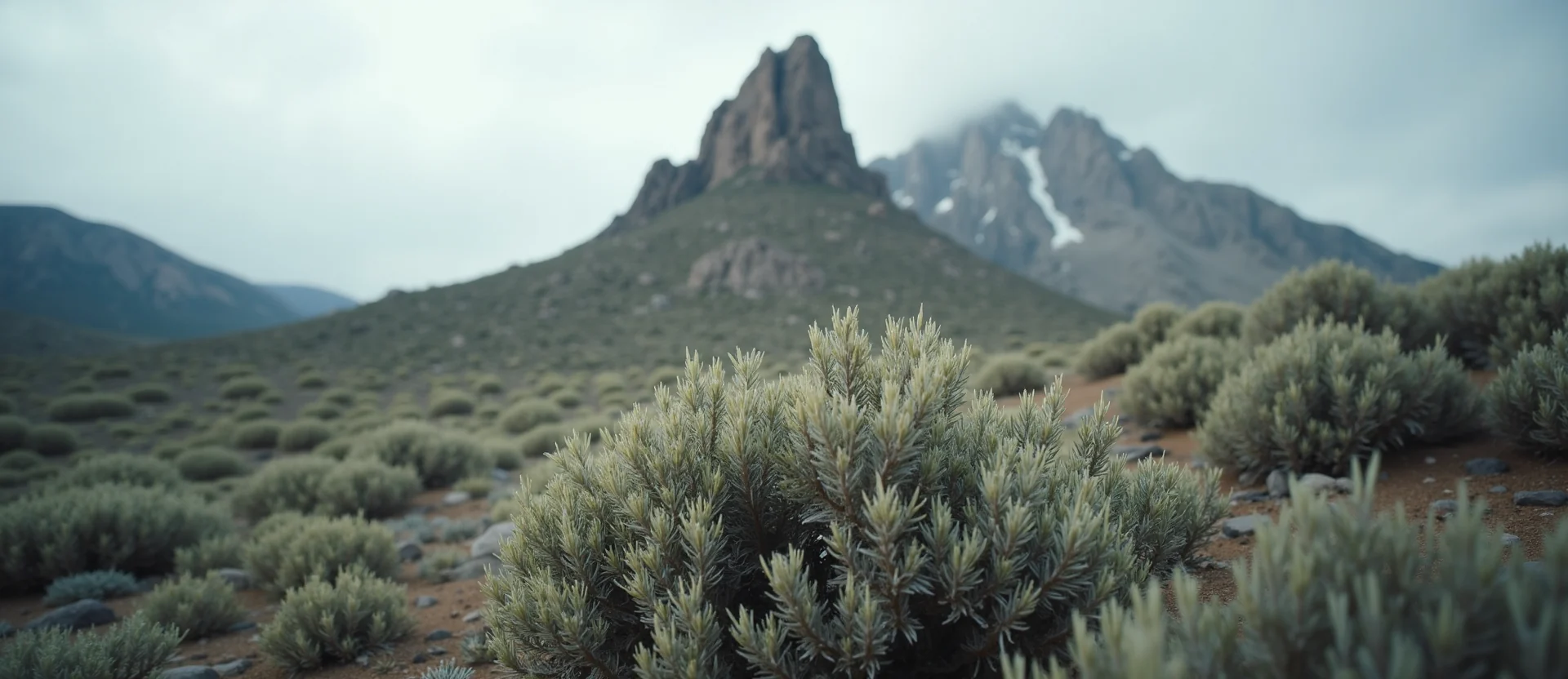 Symbolizing Stability/Peak: A local Rabbitbrush jagged granite peak. - AI Generated