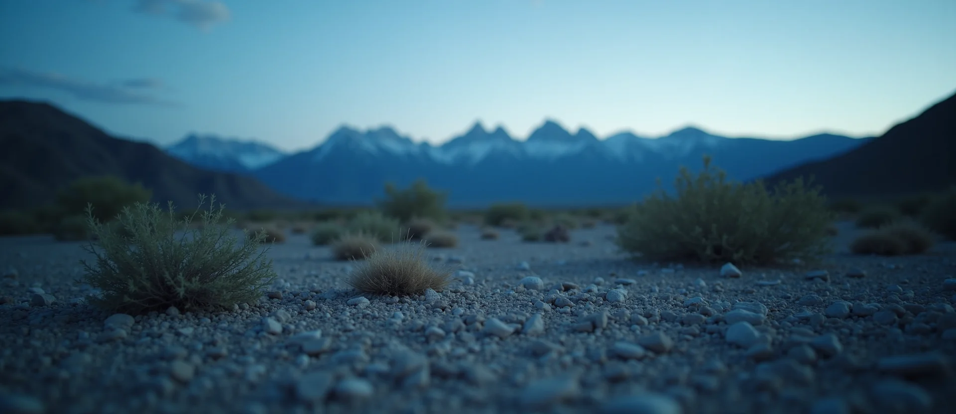 Symbolizing Identity/Local: A local Bitterbrush Sierra Nevada skyline. - AI Generated