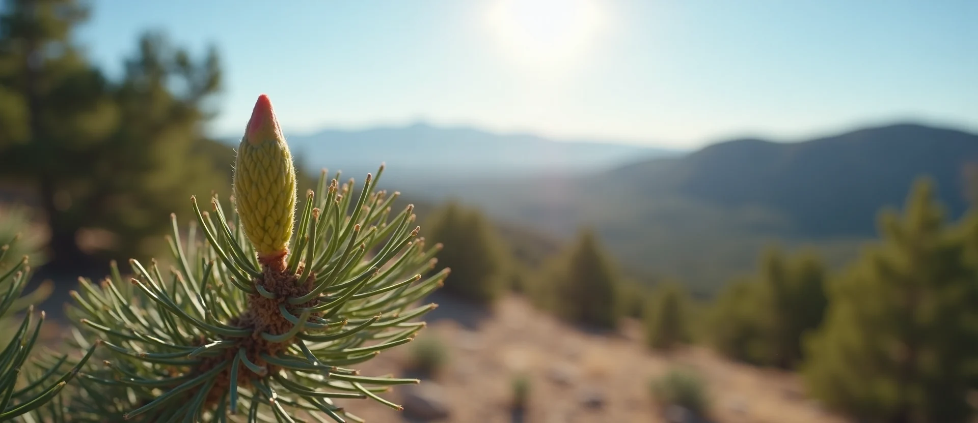 Symbolizing Seed/New Beginning: A local Desert Peach new green bud on a branch. - AI Generated