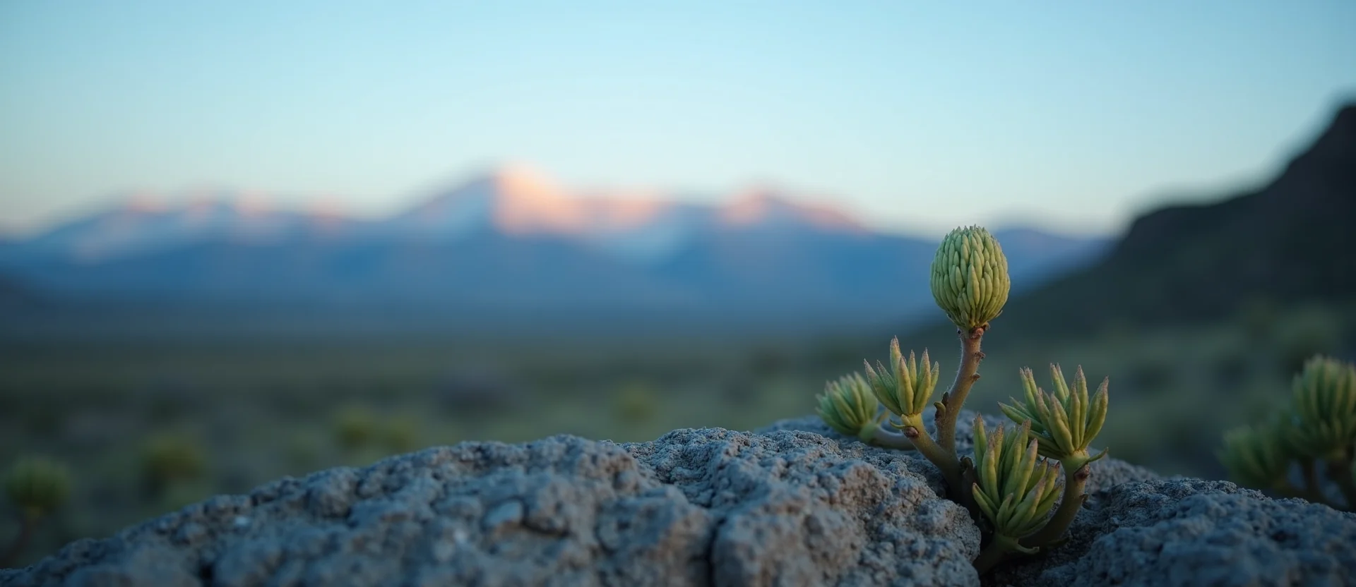 Symbolizing Seed/New Beginning: A local Indian Paintbrush new green bud on a branch. - AI Generated