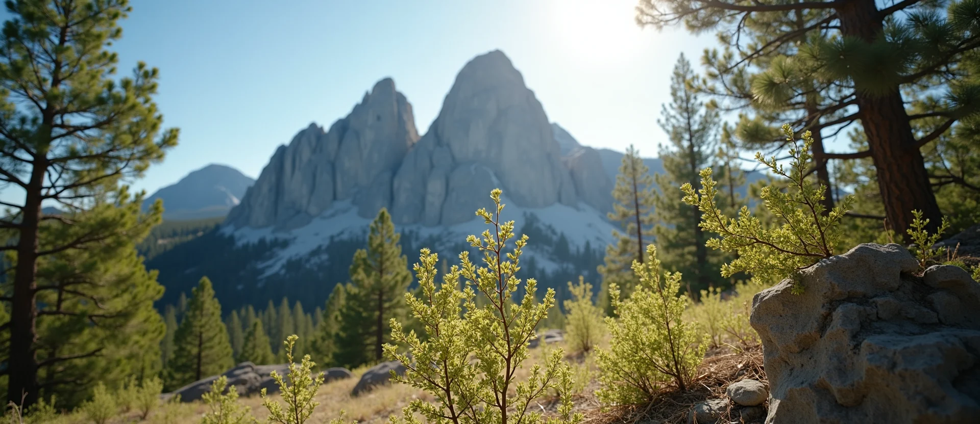 Symbolizing Stability/Peak: A local Sierra Juniper jagged granite peak. - AI Generated