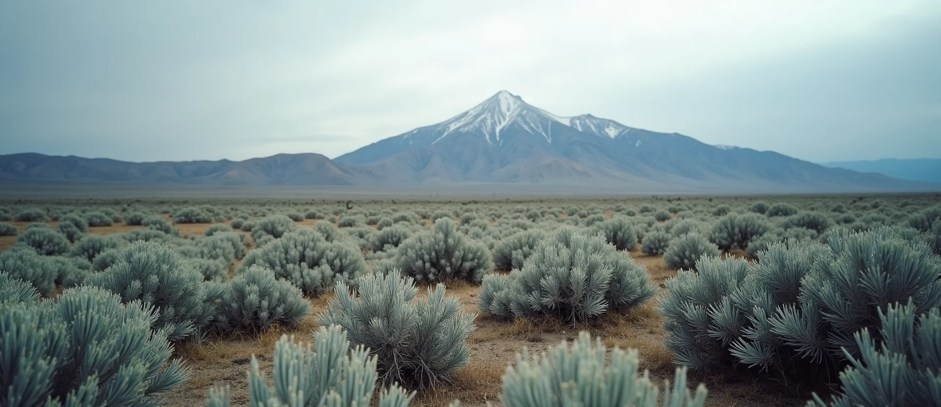 Symbolizing Identity/Local: A local Sierra Juniper Peavine Mountain silhouette. - AI Generated