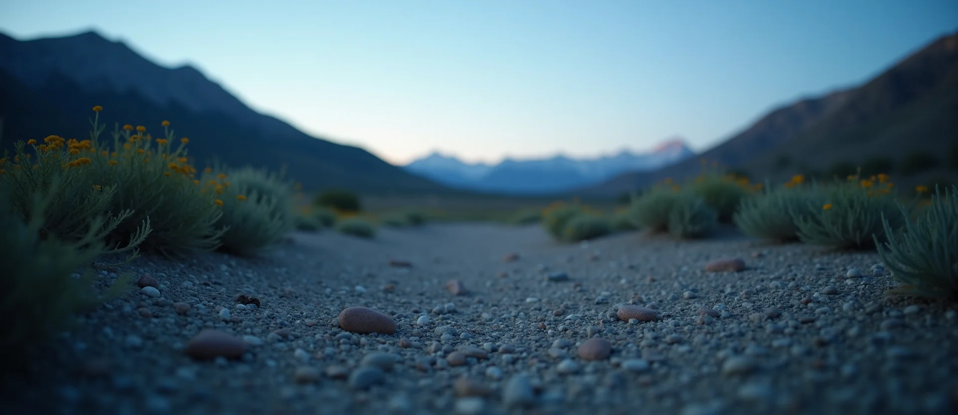 Symbolizing Stability/Peak: A local Indian Paintbrush distant Sierra horizon. - AI Generated