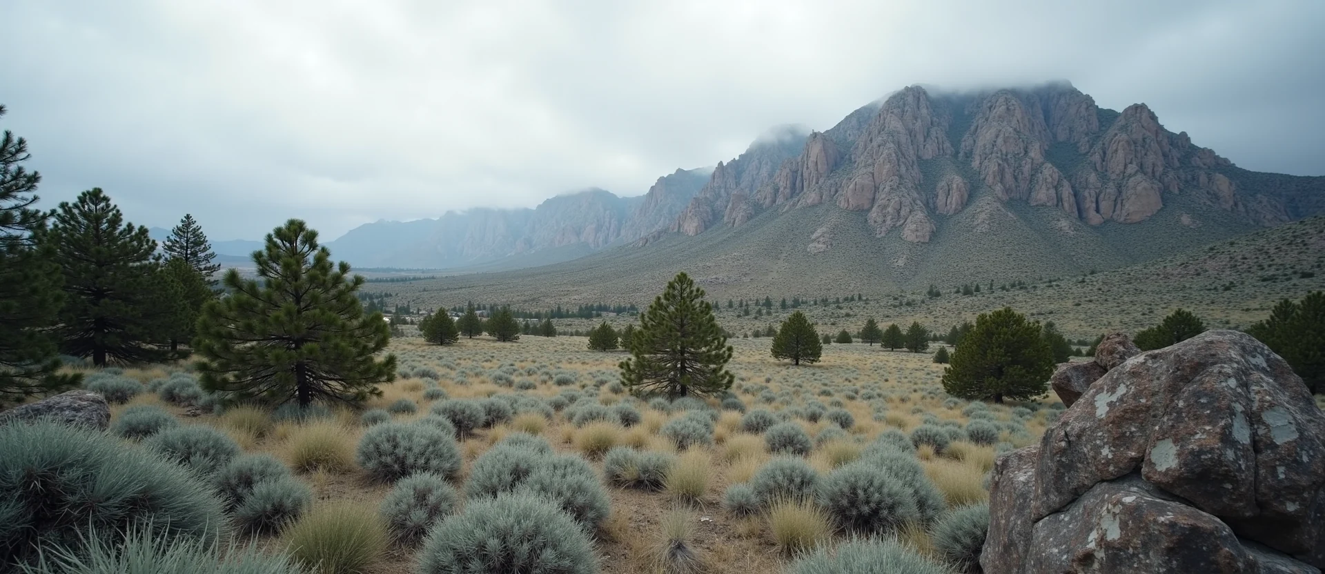 Symbolizing Stability/Peak: A local Ponderosa Pine solid mountain ridge. - AI Generated