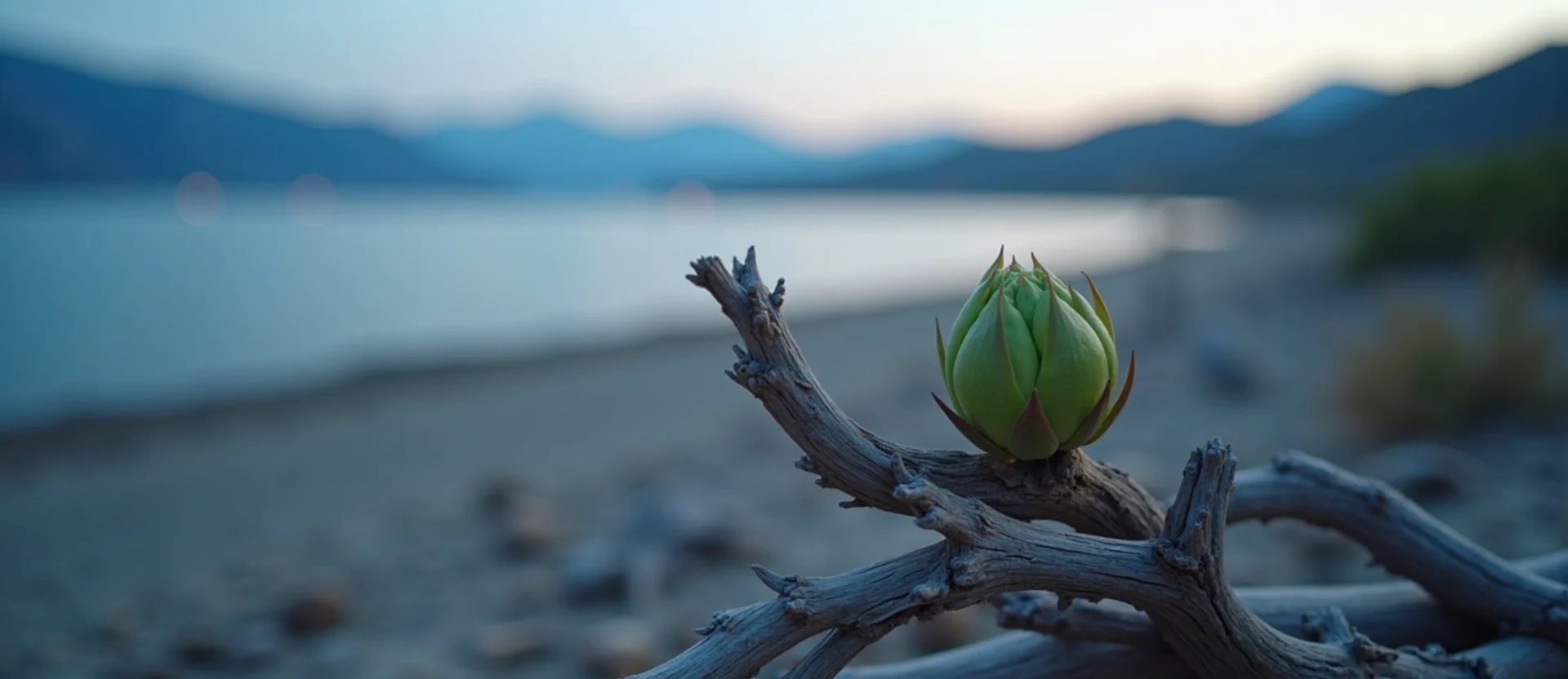 Symbolizing Seed/New Beginning: A local Mountain Mahogany new green bud on a branch. - AI Generated