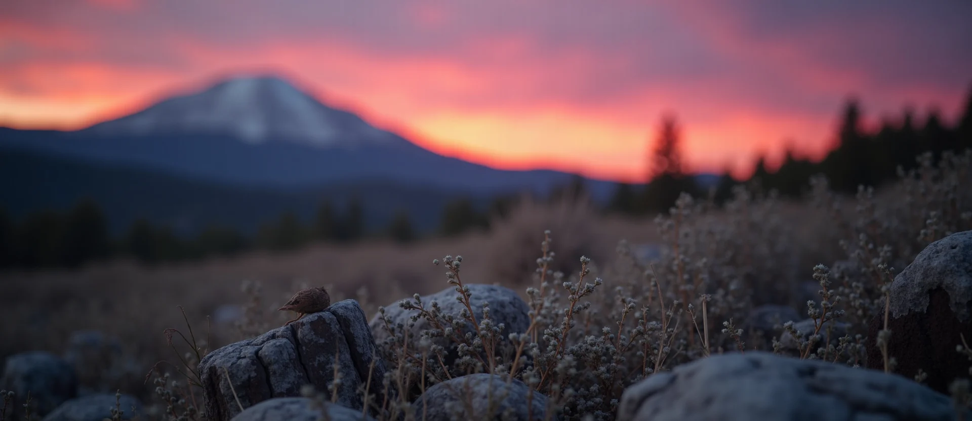 Symbolizing Identity/Local: A local Manzanita Mt. Rose foothills. - AI Generated