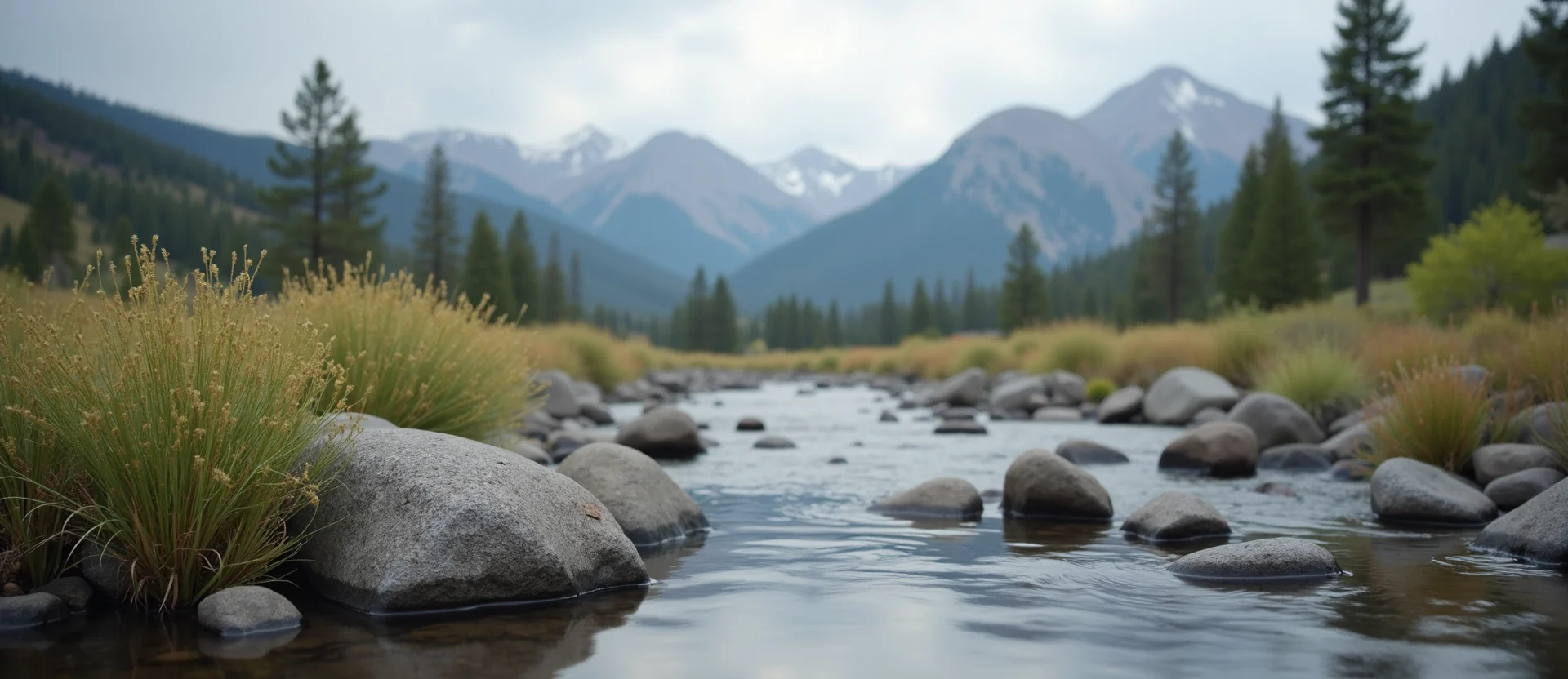 Symbolizing Flow/Cleansing: A local Rabbitbrush smooth Truckee river stones. - AI Generated