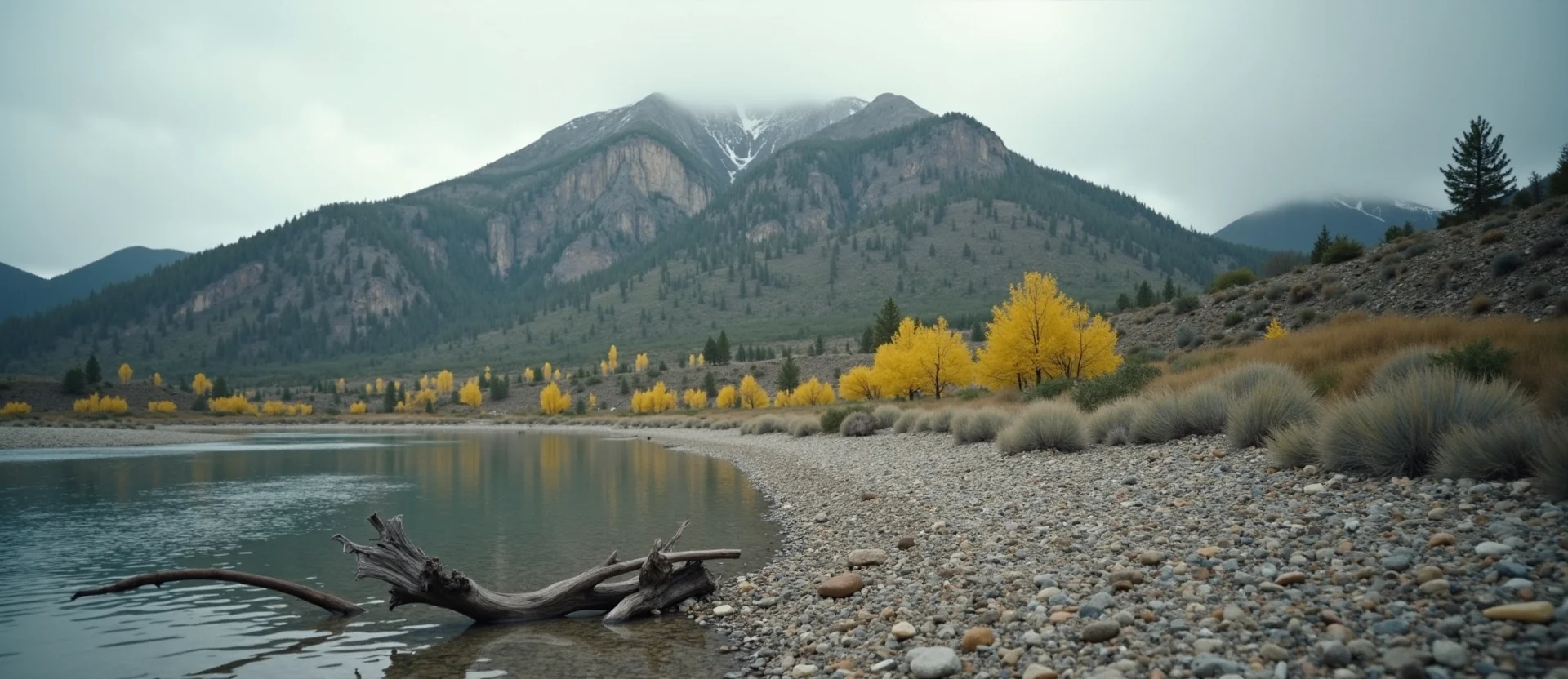 Symbolizing Stability/Peak: A local Quaking Aspen solid mountain ridge. - AI Generated