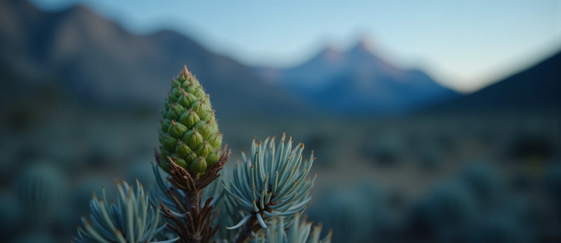 Symbolizing Seed/New Beginning: A local Mountain Mahogany new green bud on a branch. - AI Generated