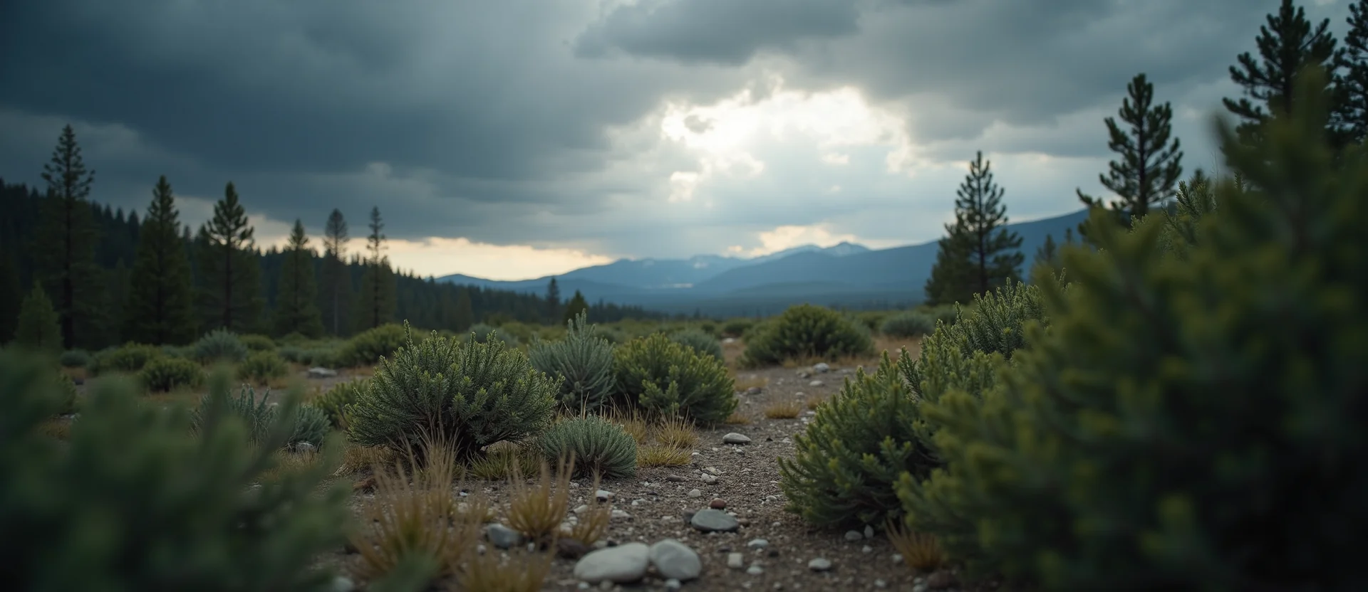 Symbolizing Stability/Peak: A local Rabbitbrush distant Sierra horizon. - AI Generated