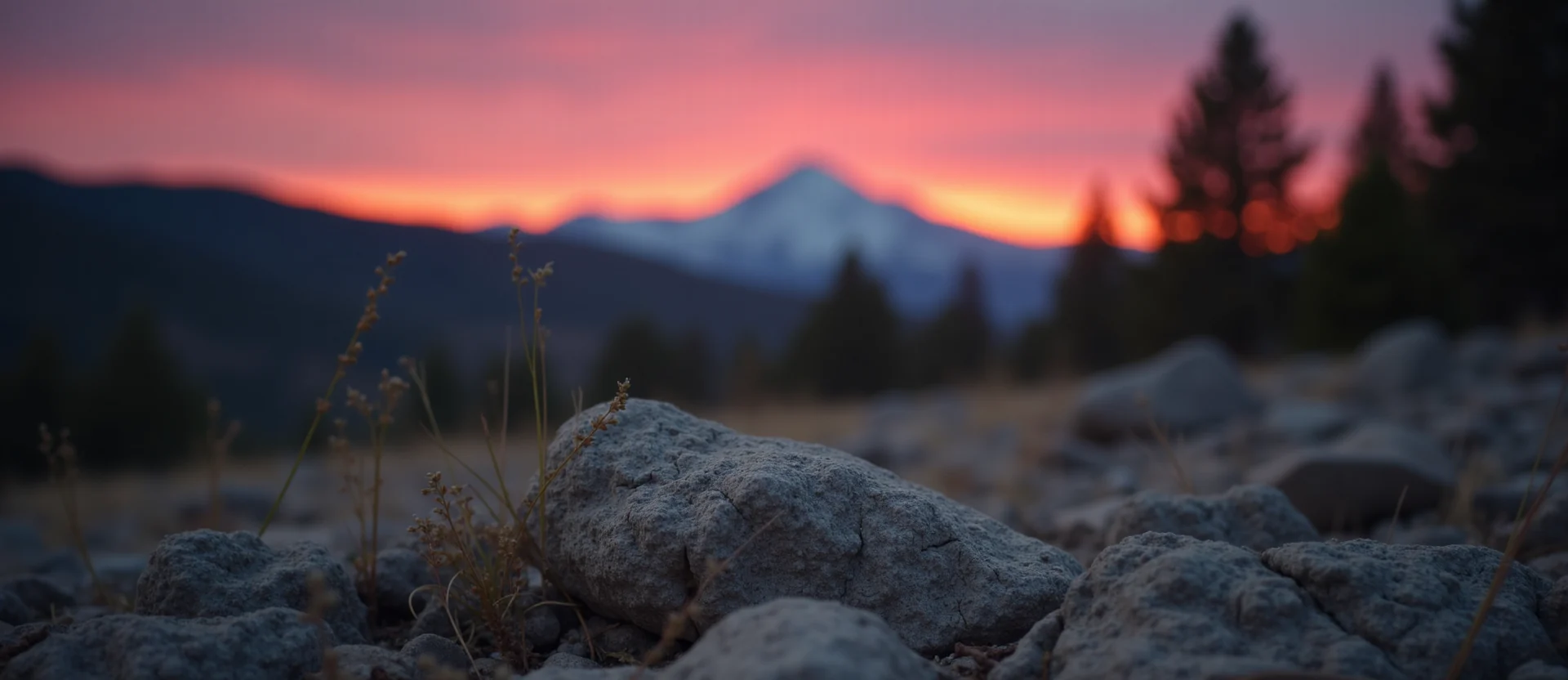 Symbolizing Identity/Local: A local Sierra Juniper Washoe Valley floor. - AI Generated